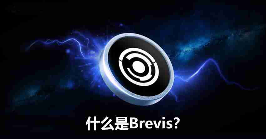 ʲôBrevisBrevisԸơӦó̬