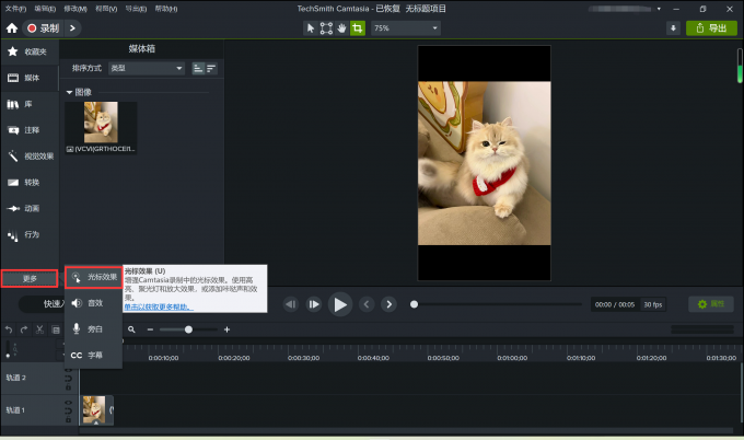 Camtasia StudioЧô