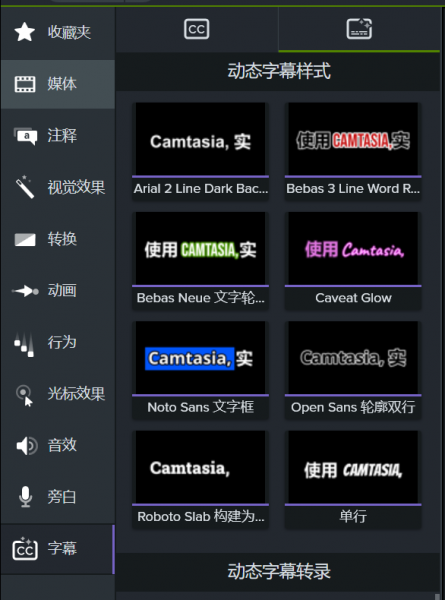 Camtasia2024ʲôǶ̬ĻЧ