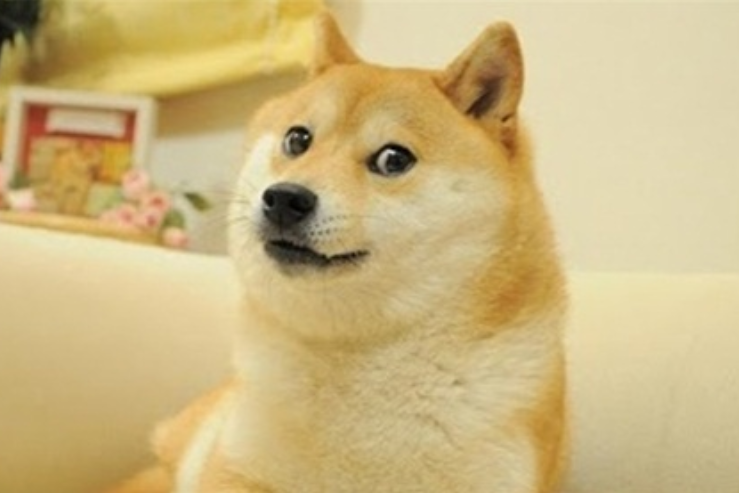 9¹DOGE۸30%