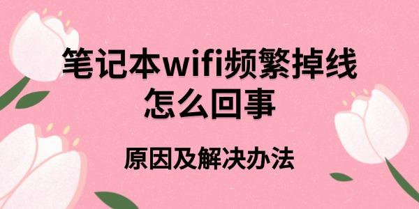 ʼǱwifiƵô