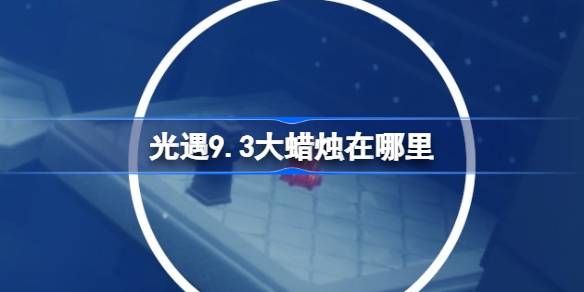 9.3