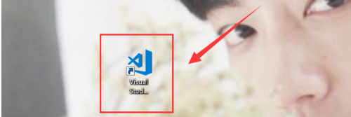 VScodeô½ļ