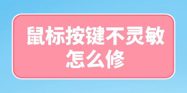 갴ô