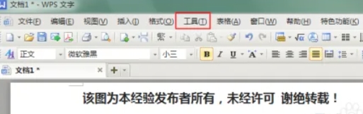 wps officeôļ