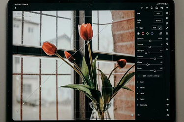 ��������˽������ô������Ⱥ��Υ����