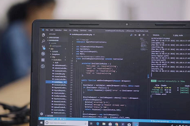 С鱻ˢý⣿ˢı׼ʲô