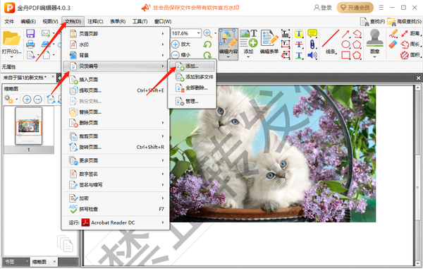PDF༭ôҳ