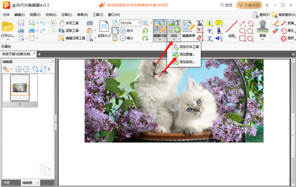 PDF༭ôͼƬ