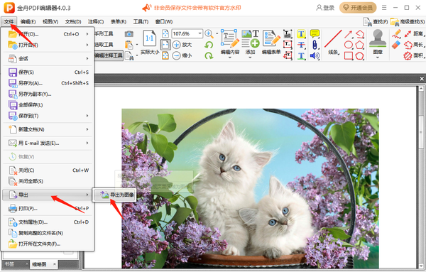 PDF༭ôPDFתΪͼƬ