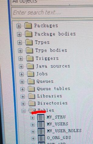 pl/sql developerṹ