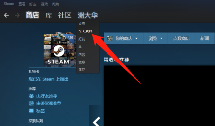 Steamô򿪸