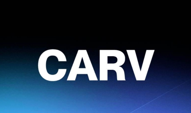 CARVʲô?CARVô?CARVȫ