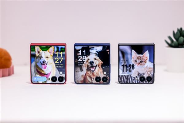 ǳ ʵ Galaxy Z Flip7|Z Flip7 FEͷ
