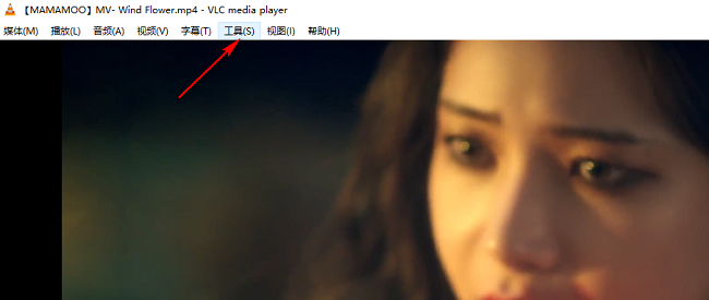 VLC media playerʾϢ
