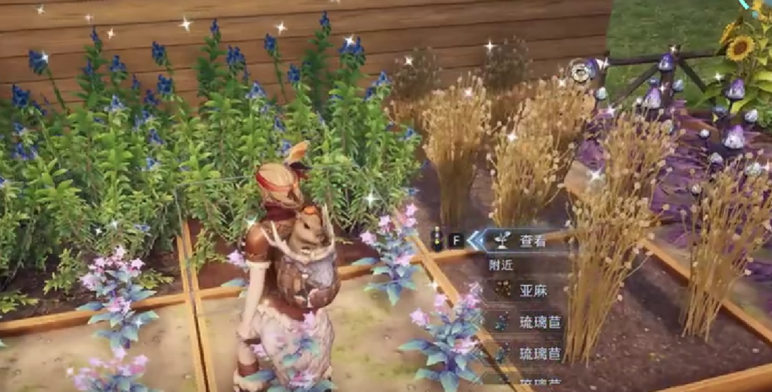 荒原曙光雪莲怎么获得_wishdown.com 荒原曙光雪莲怎么获得_wishdown.com