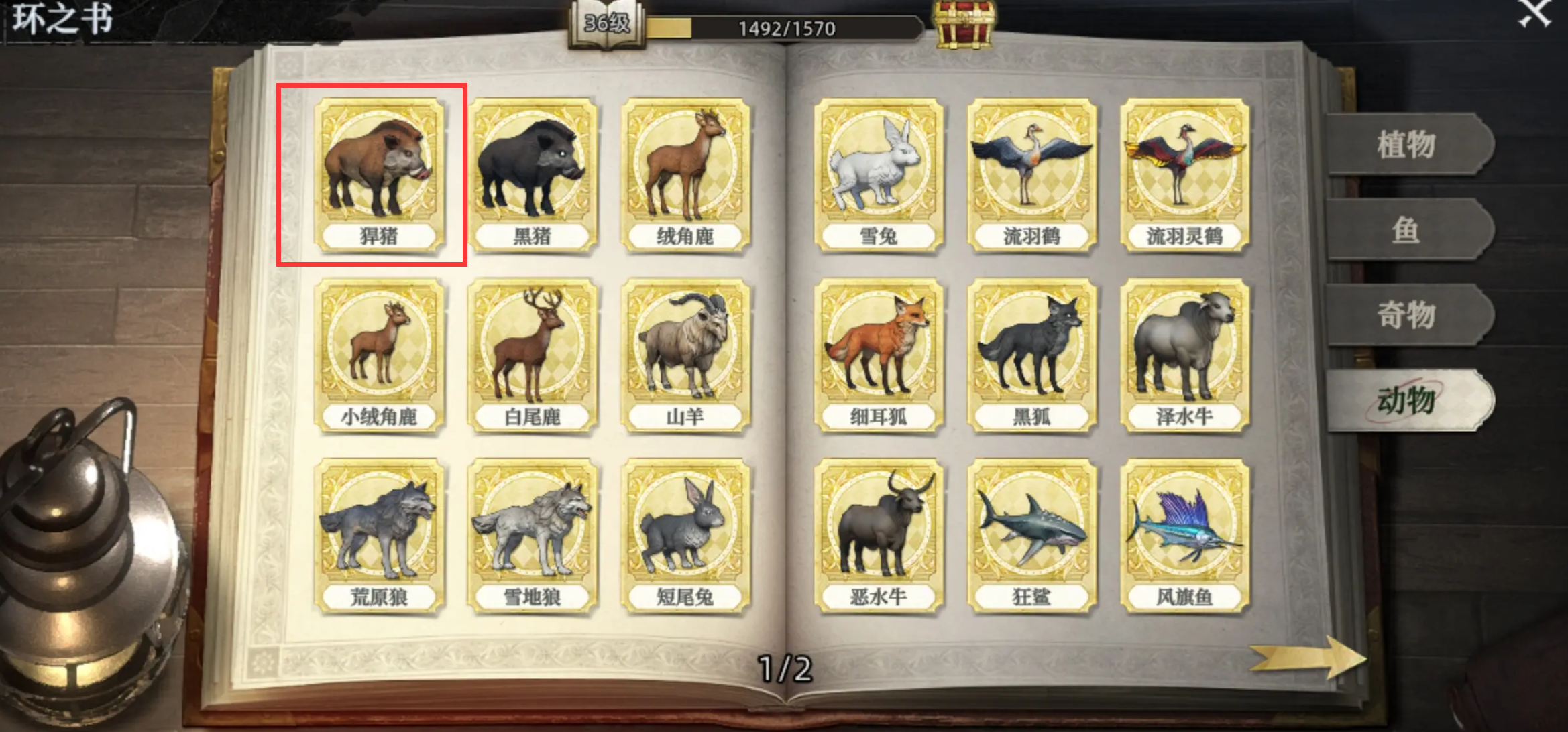 荒原曙光骑野猪怎么做_wishdown.com 荒原曙光骑野猪怎么做_wishdown.com