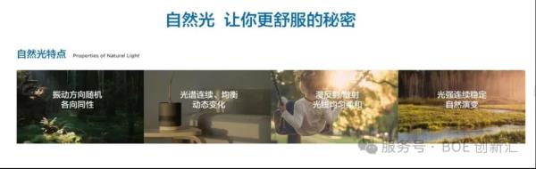 BOE IPC 2025Ȼ⡱ʾBNL  콡Ӿ·