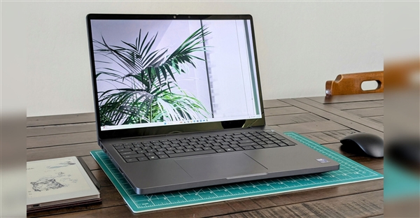 NVIDIA RTX PRO 5000רҵԿײ⣺Ȼ128GB CAMM2ڴ