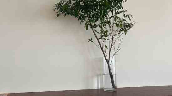 ��Ϸ���ּ򵥸ɾ�һ����