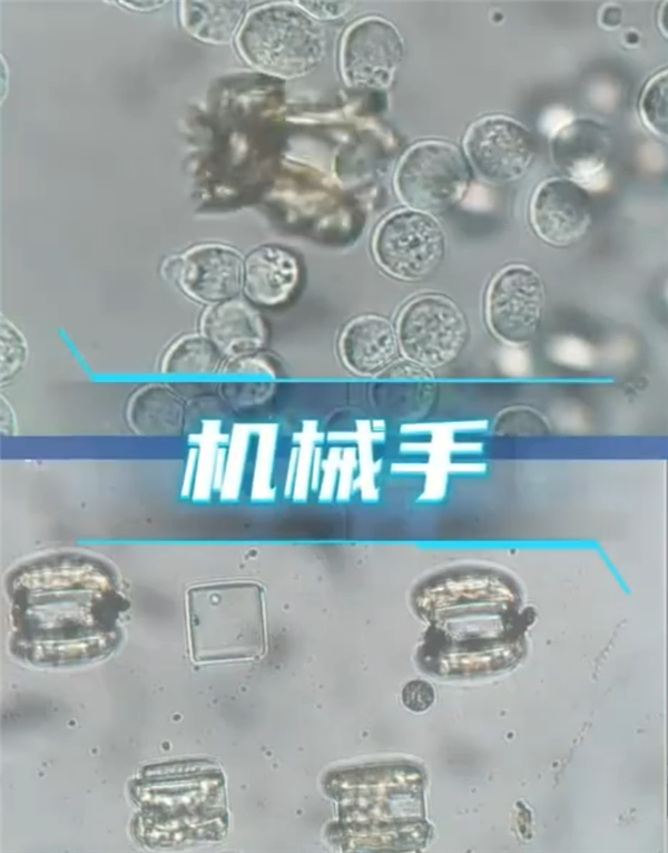 ƻó棡йѧҽð ֱβ