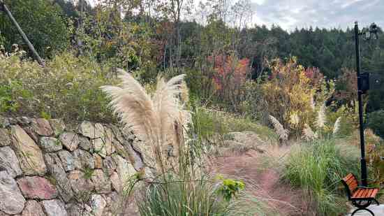 ����ʦ����6������Ϸ��