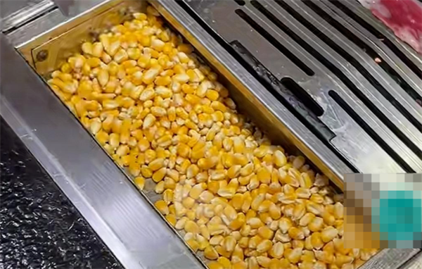 烤肉店用玉米粒当燃料 专家发声:很惋惜 我国粮食还处在紧平衡状态