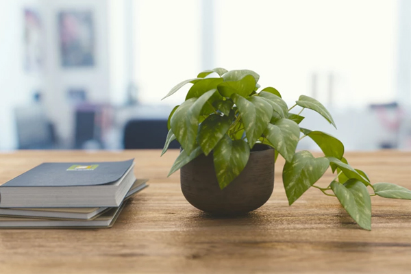 �����������޸ģ�������ôѡ��