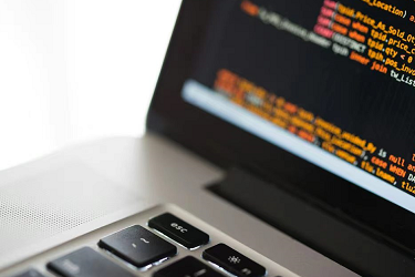 С����۹�������ĸ�Ч����?С����������ʲô��˼?