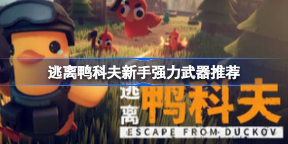 逃离鸭科夫新手用什么武器比较好