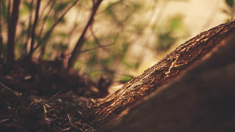 “想让男人心疼亏欠你,就要这么说”