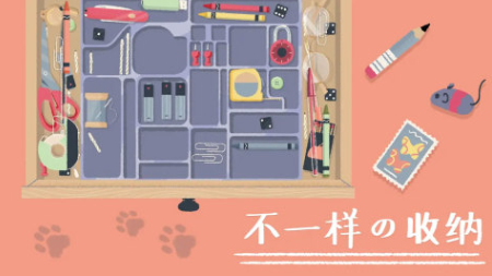 2025热门收纳整理小游戏推荐:趣味解压合集精选