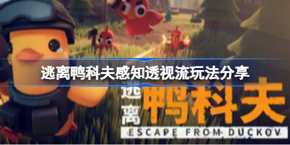逃离鸭科夫感知透视流怎么玩