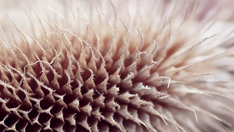 “吃个漂亮饭这么发,太有感觉了!”_wishdown.com “吃个漂亮饭这么发,太有感觉了!”_wishdown.com