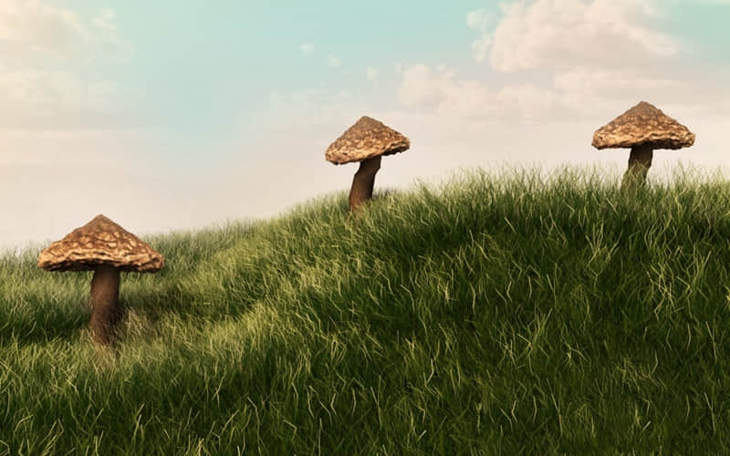 “吃个漂亮饭这么发,太有感觉了!”_wishdown.com “吃个漂亮饭这么发,太有感觉了!”_wishdown.com