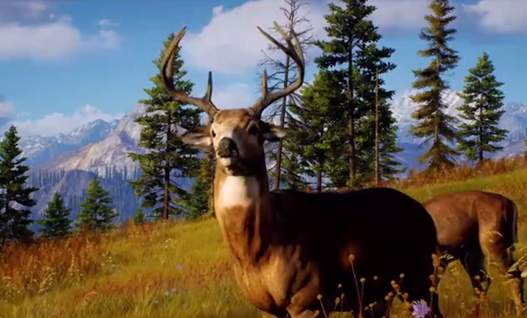 猎人之路梯子在哪_wishdown.com 猎人之路梯子在哪_wishdown.com