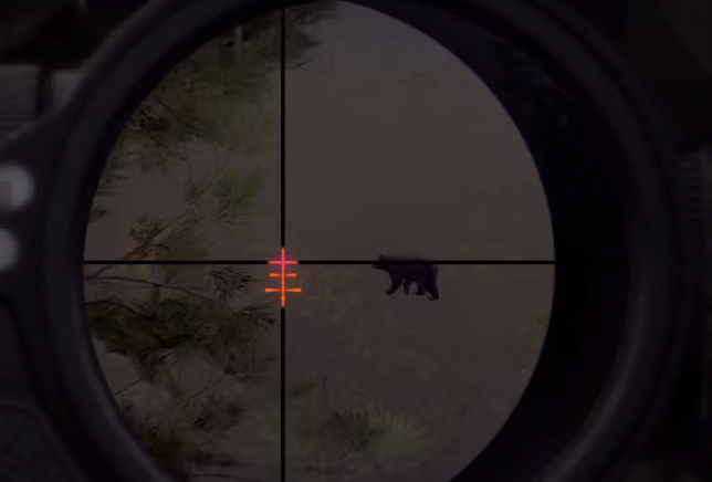 猎人之路怎么打熊_wishdown.com 猎人之路怎么打熊_wishdown.com