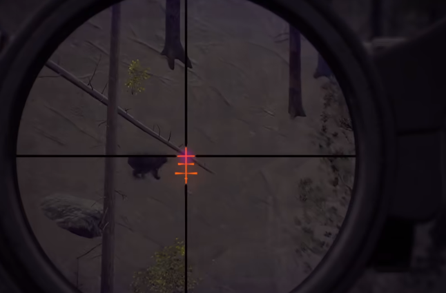 猎人之路怎么打熊_wishdown.com 猎人之路怎么打熊_wishdown.com