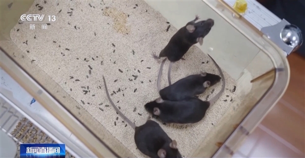 ۶ʮһŽ4ֻС̫գδ̫շҪ