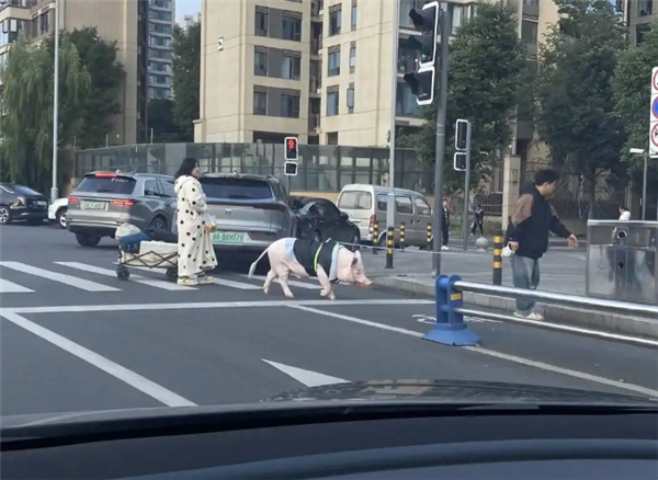 ɶ130Χۣרԡ  ÿǧԪʳ