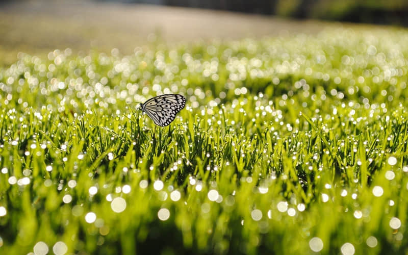 2?2?/??.????һֺµʮһȦ