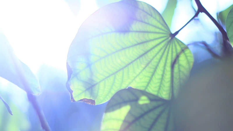 2?2?/??.????ʮһµĵһ죬ȦһҪ