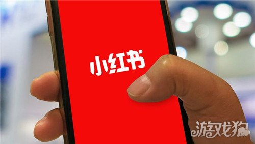 小红书怎么积累粉丝_wishdown.com 小红书怎么积累粉丝_wishdown.com