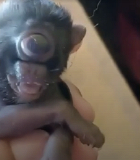 һũֻͻèֻһֻ 沿