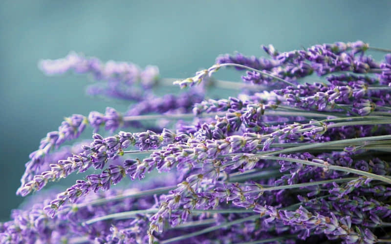 ������������Ȧ�������飬���Լ���