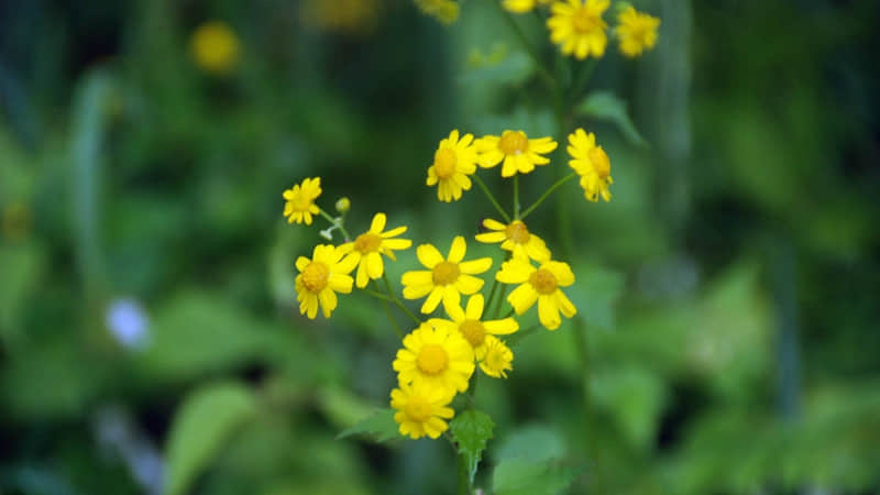 ����䲻�ᰮ����䶼�ǰ���