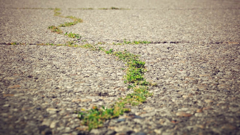 ��������İ���������̫�ио��ˡ�