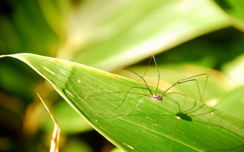 "���Լ���'����'����Ȧ�İ��������"