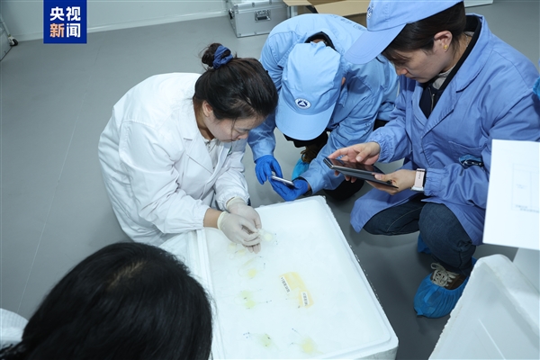 йռվھʵƷزѧңֻ̫С