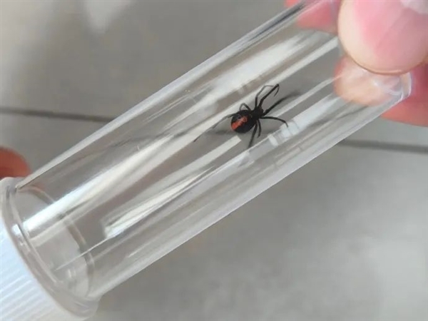 Դ פطִ֩룺綾ڹѸ